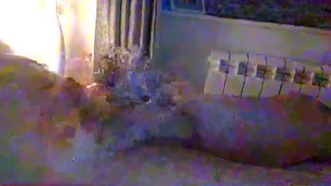 str8guy2015 online show from January 24, 4:28 pm