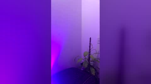 straight_boys_hornys online show from December 20, 11:50 am