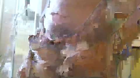 Snapshot of straightstroker81 chatting on December 11, 6:58 am straightstroker81 online show from December 11, 6:58 am