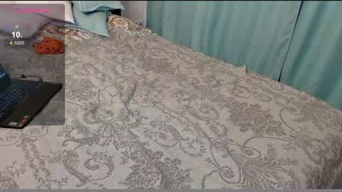 stupid little kitten online show from December 6, 9:43 am