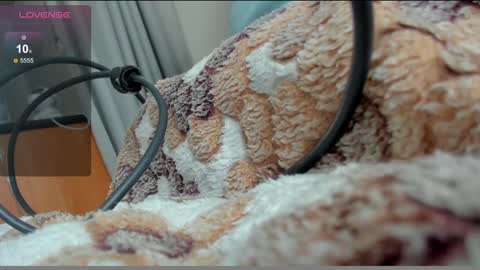 stupid little kitten online show from January 10, 12:15 pm