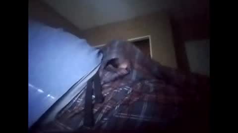 suavecito123828379 online show from January 17, 8:45 pm