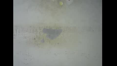 Snapshot of sugarmeltsxx chatting on November 9, 5:44 pm Bella online show from November 9, 5:44 pm