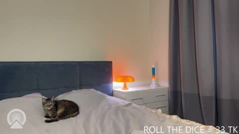 Amy online show from June 4, 4:35 pm