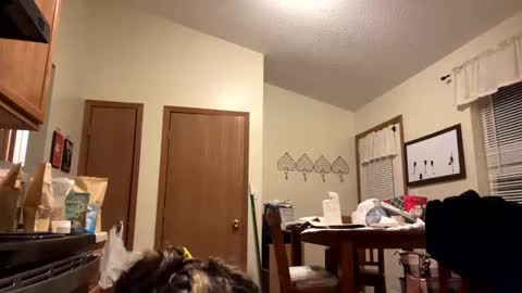 Snapshot of sunnbabe92485 chatting on September 11, 2:44 am sunnbabe92485 online show from September 11, 2:44 am