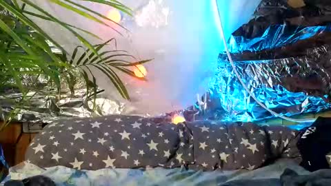 Snapshot of super_jony chatting on October 9, 9:51 am super jony and Marta GMT 1300-1800 every day online show from October 9, 9:51 am