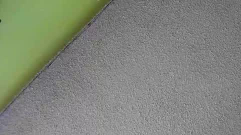 Snapshot of sussan_nasty chatting on December 16, 1:38 pm sussan_nasty online show from December 16, 1:38 pm