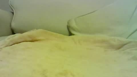 Peter online show from January 10, 7:04 pm