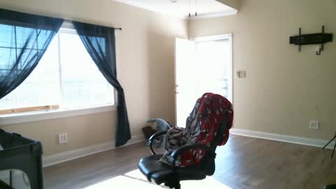 Snapshot of swals chatting on February 2, 4:11 pm Swals online show from February 2, 4:11 pm