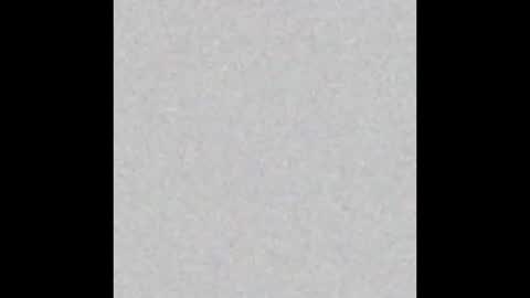 Eva and Tim online show from October 26, 6:03 pm