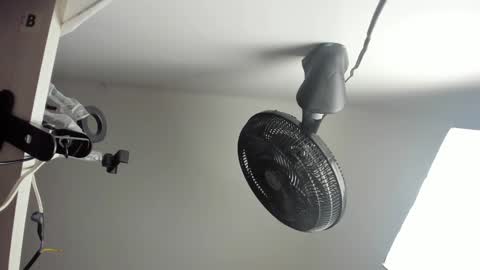 Vanessa online show from October 27, 4:49 am