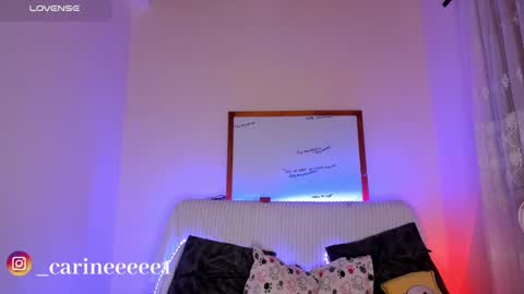 Snapshot of sweet_carine chatting on December 17, 10:34 am camil online show from December 17, 10:34 am