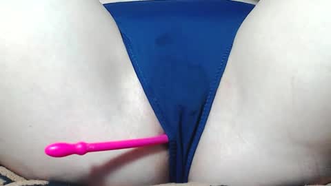 Kitten online show from April 1, 7:53 am