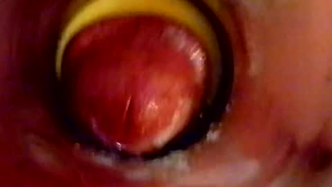 sweetkreme69 online show from October 11, 2:55 am
