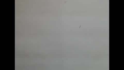 Snapshot of sweetnectarx chatting on November 8, 4:40 pm sweetnectarx online show from November 8, 4:40 pm