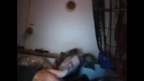 Snapshot of sweetsugar64 chatting on March 8, 6:17 am sweetsugar64 online show from March 8, 6:17 am