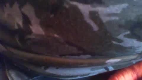 swils67 online show from April 20, 5:05 pm