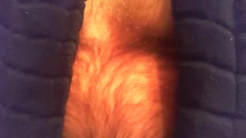 swils67 online show from April 25, 4:37 am