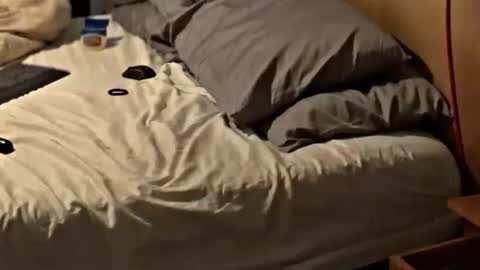 Snapshot of sxymn123 chatting on November 25, 8:25 am SissyDenver online show from November 25, 8:25 am