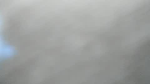 Snapshot of synop_sis chatting on April 2, 1:58 am Mila online show from April 2, 1:58 am