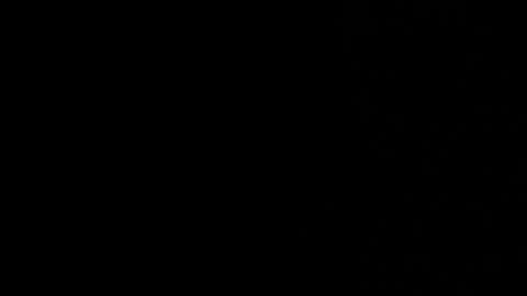 Snapshot of synop_sis chatting on April 8, 2:00 am Mila online show from April 8, 2:00 am