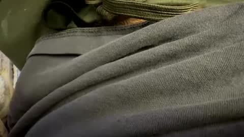 tRex online show from October 24, 1:03 am