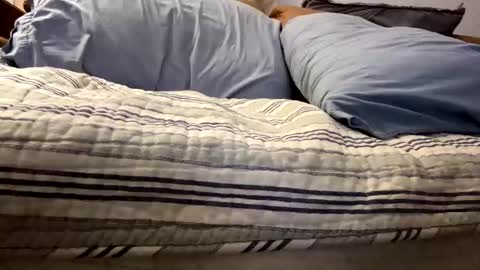 tRex online show from November 5, 12:43 am