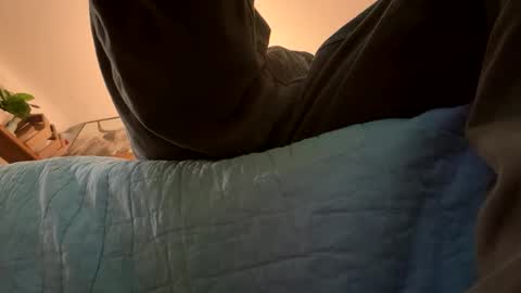 tRex online show from November 16, 11:21 pm