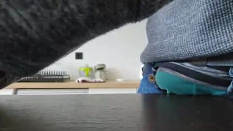 Snapshot of taconatatox chatting on December 2, 1:35 pm taconatatox online show from December 2, 1:35 pm