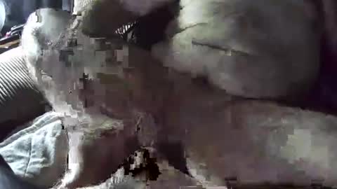 Snapshot of tacozod chatting on January 2, 10:33 pm tacozod online show from January 2, 10:33 pm