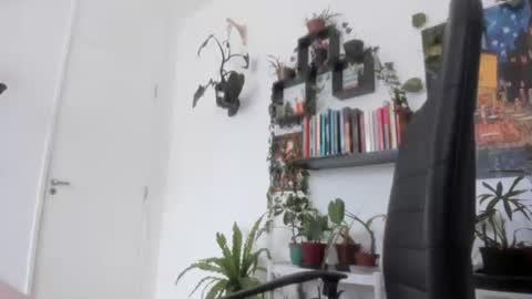 Snapshot of talimajid chatting on November 26, 11:44 am Tali Majid online show from November 26, 11:44 am