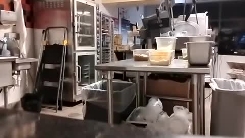 Snapshot of talldrink62 chatting on September 10, 2:44 am The Man of Steel online show from September 10, 2:44 am