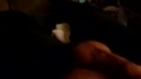 Snapshot of talldrink62 chatting on October 26, 10:43 am The Man of Steel online show from October 26, 10:43 am