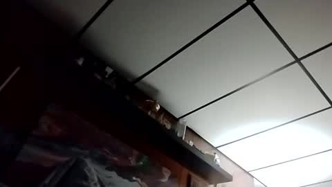 Snapshot of talldrink62 chatting on October 27, 2:48 am The Man of Steel online show from October 27, 2:48 am