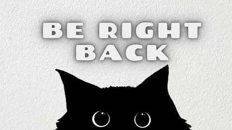 Rousaly online show from January 15, 11:15 am