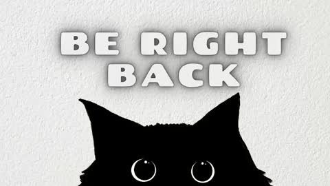 Rousaly online show from February 8, 11:24 am