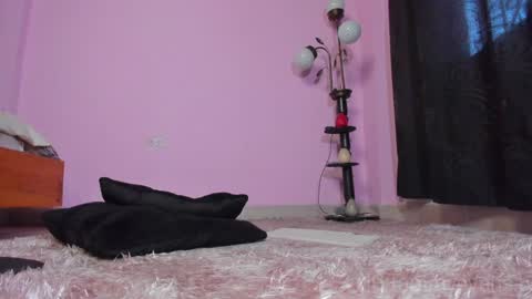 TAMARA  online show from January 23, 3:22 pm