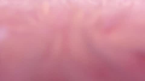 Snapshot of tamy_ian chatting on January 31, 10:42 pm Tamy ian online show from January 31, 10:42 pm