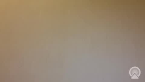 tanelure online show from September 25, 5:49 pm