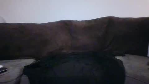 tarshil017 online show from November 12, 8:26 am