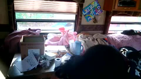 Snapshot of tastycakes999 chatting on November 18, 6:45 pm tastycakes999 online show from November 18, 6:45 pm