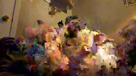 Snapshot of tatt2dood chatting on November 17, 3:34 am tatt2dood online show from November 17, 3:34 am