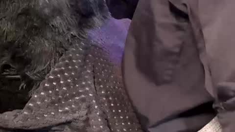 Jean pool online show from December 15, 11:47 am