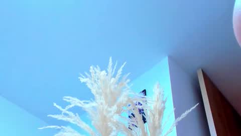 Snapshot of tayler_swift1 chatting on February 13, 6:37 pm tayler_swift1 online show from February 13, 6:37 pm