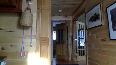 tec0vas online show from January 8, 6:54 pm