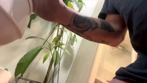 teet69 online show from March 10, 10:15 pm