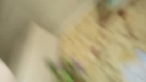 Ada  online show from April 27, 8:45 am