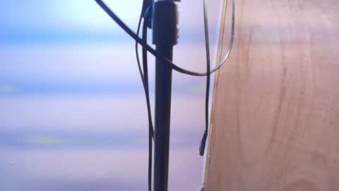 Snapshot of terraelowen chatting on February 20, 11:22 am Terra Elowen online show from February 20, 11:22 am