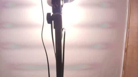 Snapshot of terraelowen chatting on February 25, 11:31 am Terra Elowen online show from February 25, 11:31 am