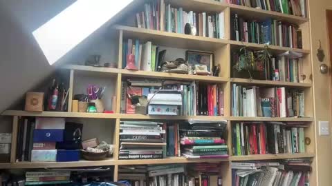 Snapshot of terraworship chatting on March 3, 6:01 pm Terra Worship Findomme online show from March 3, 6:01 pm